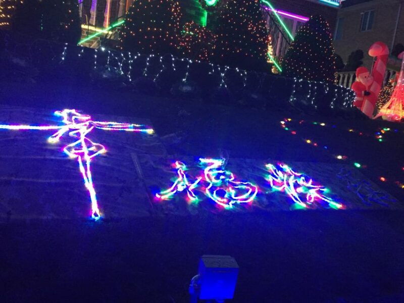 new-york-french-magical-christmas-lights-tour-in-brooklyn