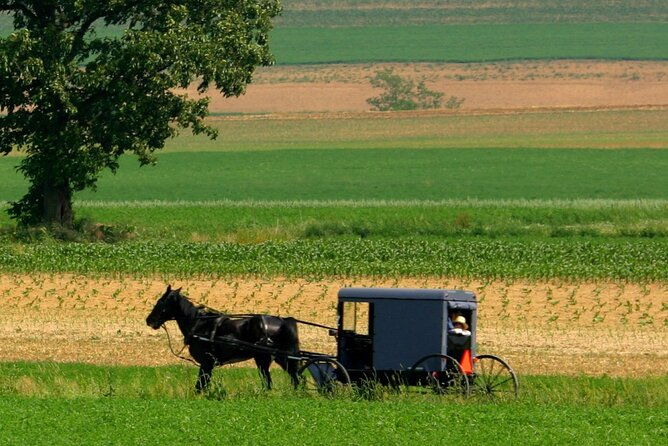 new-york-to-philadelphia-and-the-amish-in-spanish