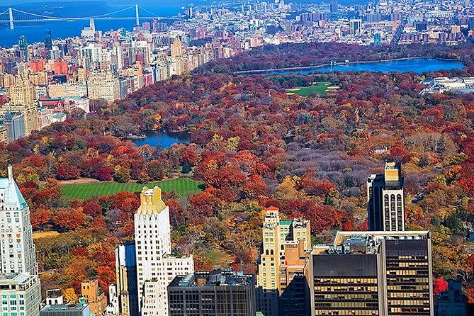 new-york-tour-by-subway-and-bus-with-private-guide