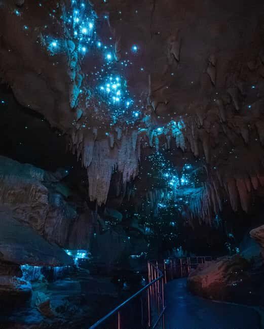 New Zealand: Milky Way Glowworm Cave Tour - Practicalities: What to Know Before You Go