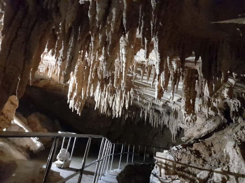 New Zealand: Milky Way Glowworm Cave Tour - The Surrounding Park: More Than Just a Cave