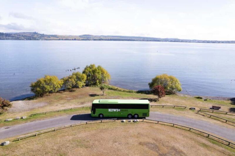 New Zealand: North Island Hop-On Hop-Off Pass - Why the North Island Hop-On Hop-Off Pass Is Worth Considering