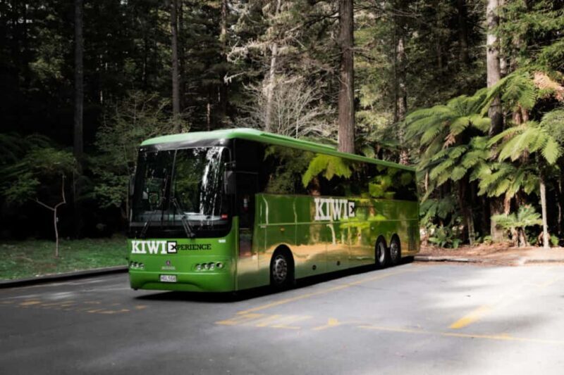 New Zealand: North Island Hop-On Hop-Off Pass - Transportation and Practicalities