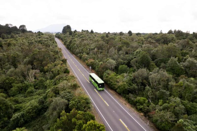 New Zealand: North Island Hop-On Hop-Off Pass - Who Is This Tour Best For?