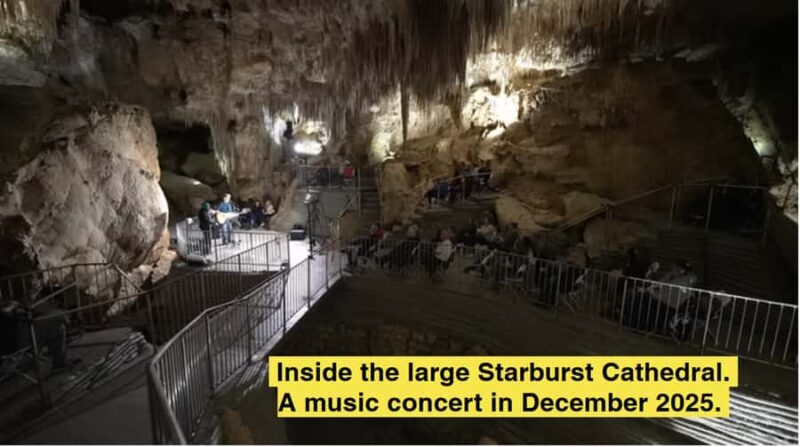 New Zealand: Starburst Cathedral in Milky Way Glowworm Cave - An In-Depth Look at the Tour Experience