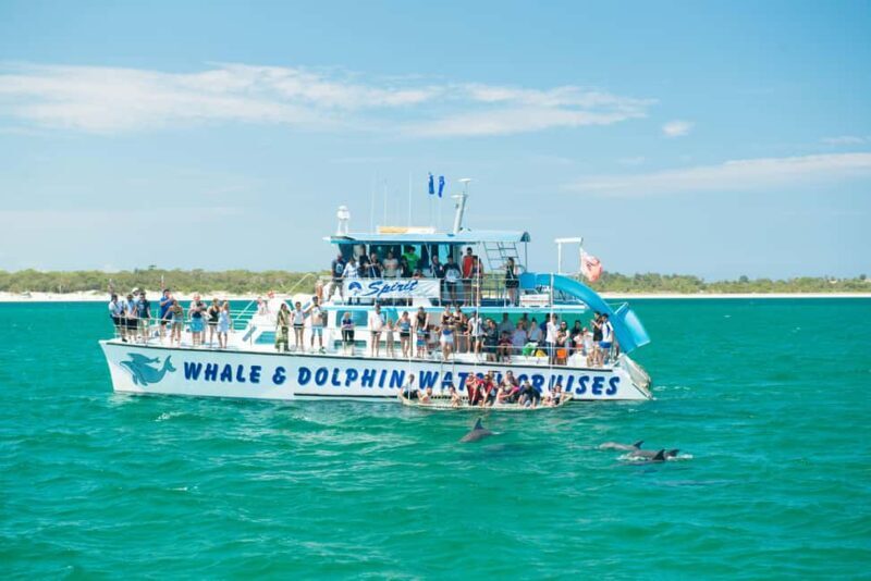Newcastle: Animal Lovers Tour - Kangaroos, Dolphins & more! - An In-Depth Look at the Wildlife & Adventure Tour