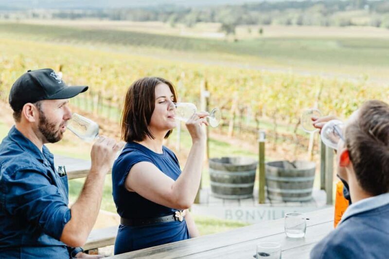 Newcastle: Boutique Hunter Valley Wine Tour - Accessibility and Considerations