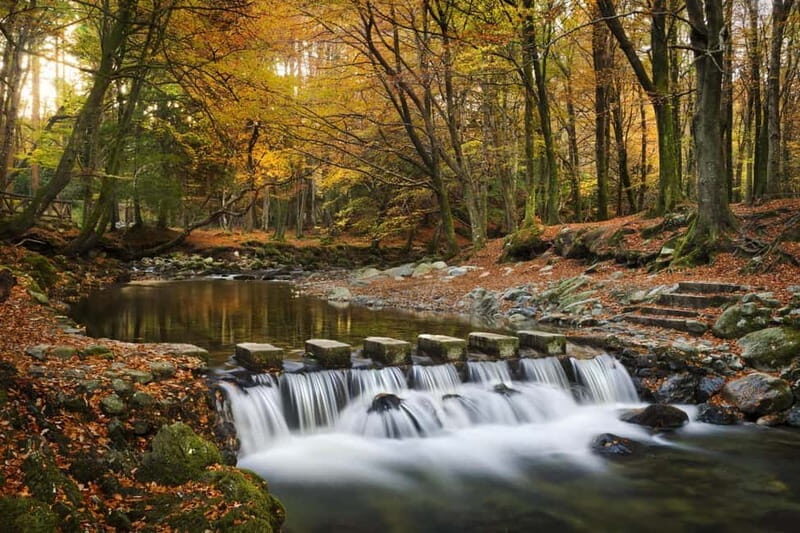 Newcastle: Game of Thrones - Tollymore Forest Trek - Who Will Love This Tour?
