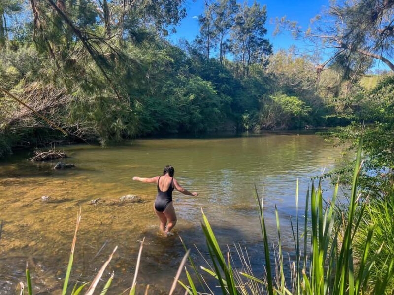 Newcastle: Hunter Valley River & Farm Tour with BBQ - The Countryside Farm Experience and River Swim