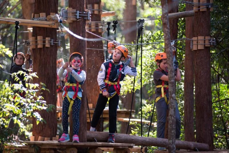 Newcastle: Junior Tree Ropes Course - FAQ