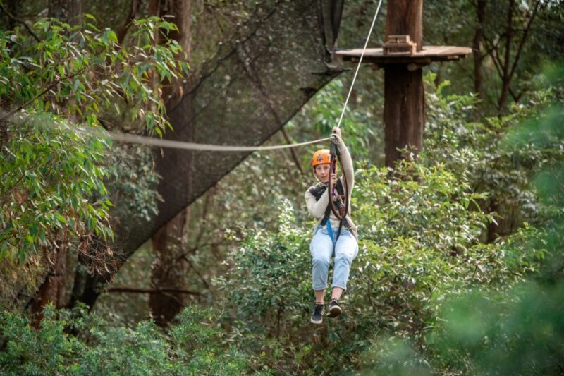 Newcastle: Tree Ropes Course Adventure - Who Will Love This Experience?