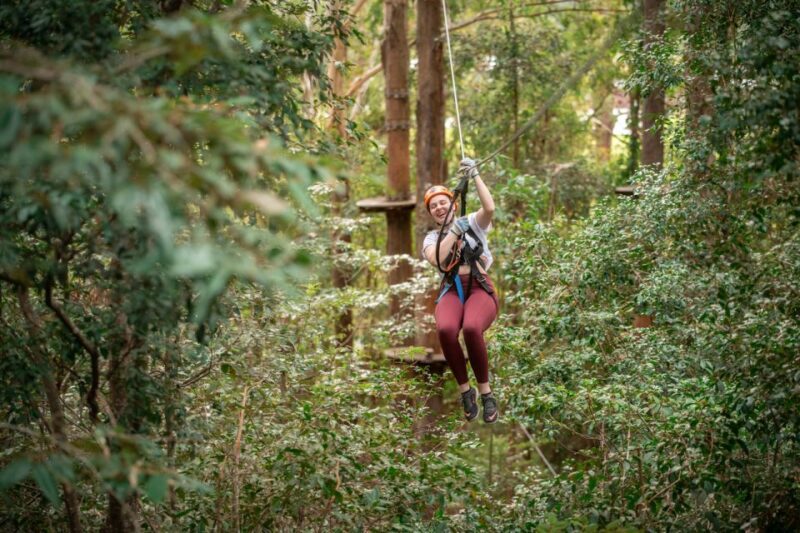 Newcastle: Tree Ropes Course Adventure - Authentic Traveler Experiences