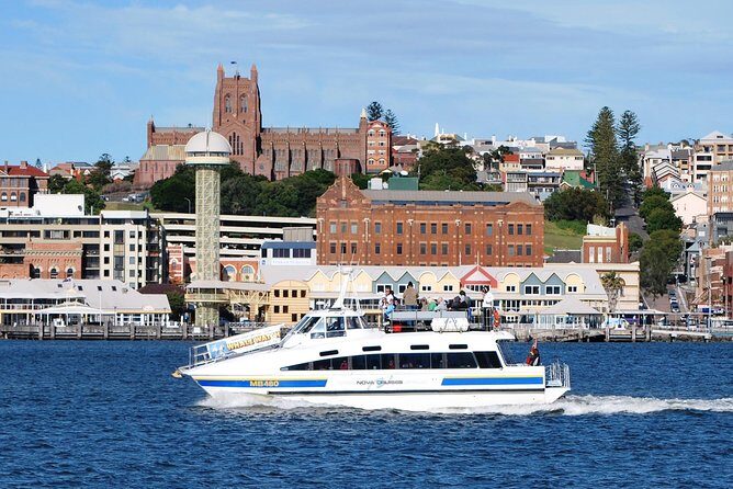 Newcastle Whale Watching Cruise - The Experience in Detail