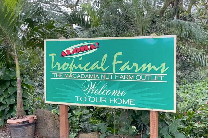 next-level-oahu-circle-island-tour-snorkel-w-turtles-and-byodo-in