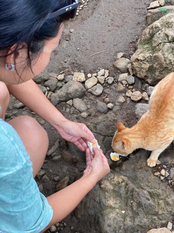 Ngglangeran Acien Volcano Soft Trekking-Pindul Cave Tubing - Ngglangeran Acien Volcano Soft Trekking & Pindul Cave Tubing Review