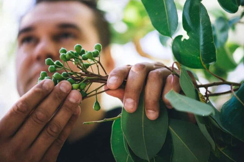 Ngilgi Cave Cultural Tour - Final Thoughts
