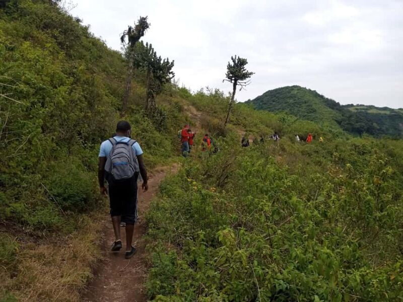 Ngong Hills: Private Hiking Tour - Key Points