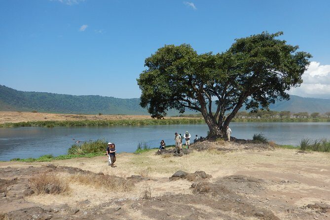Ngorongoro Adventure Day Tour from Arusha - Why Choose the Ngorongoro Adventure Day Tour