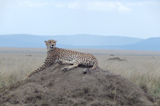 Ngorongoro Adventure Day Tour from Arusha - Final Thoughts