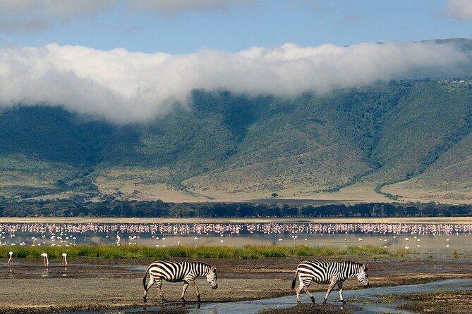 Ngorongoro Crater Day Trip - Introduction: The Allure of Ngorongoro