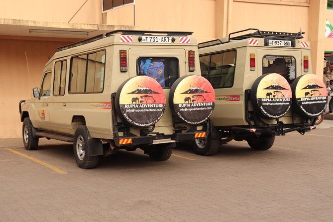 Ngorongoro Crater Day Trip - Why This Tour Offers Great Value