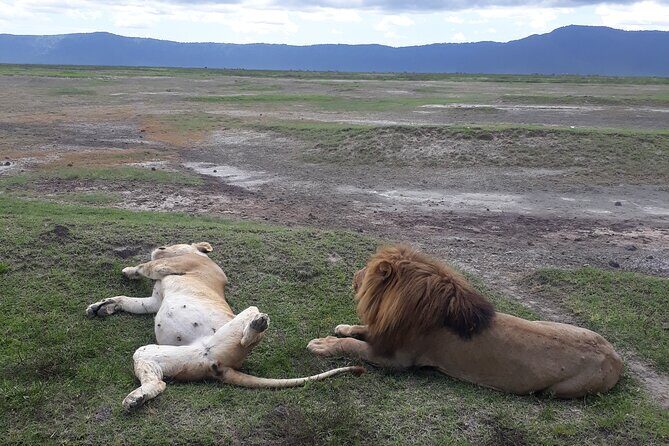 Ngorongoro Crater Day Trip - FAQs