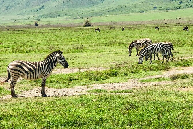 Ngorongoro Crater Day Trip - Final Words