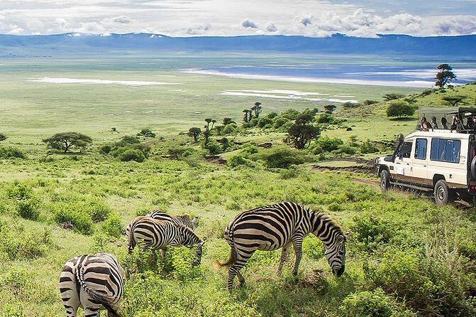 Ngorongoro Crater Exclusive: A Journey into Africas Eden - FAQ