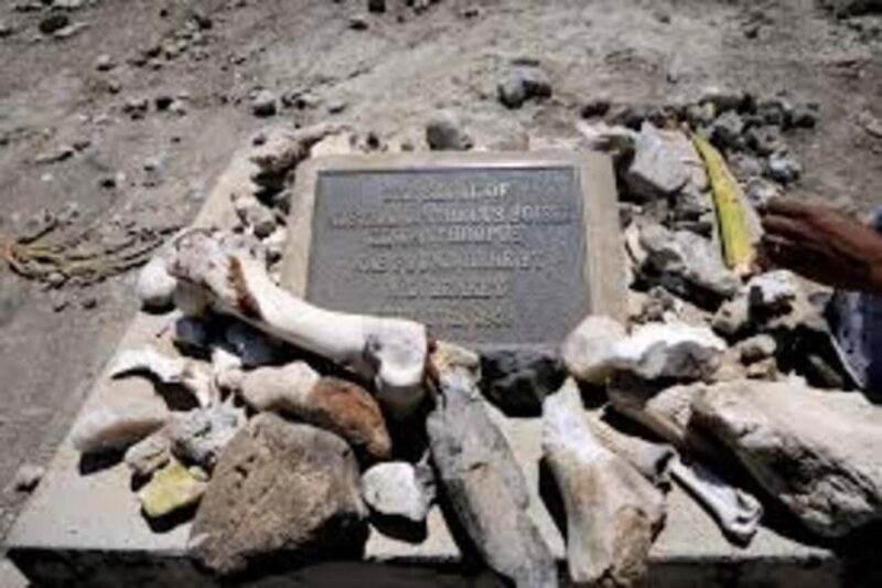 Ngorongoro: incredible Olduvai Gorge Day Trip - Key Points