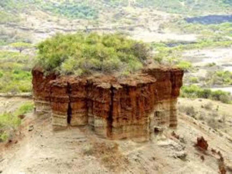 Ngorongoro: incredible Olduvai Gorge Day Trip - The Highlight: The Nutcracker Man and Early Hominins
