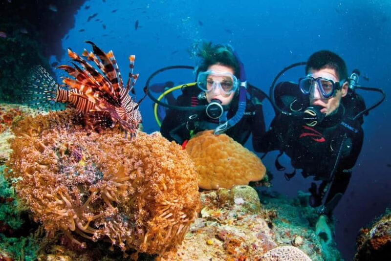 Nha Trang: 3-Day Open Water Diving Course with Lunch - Who Should Consider This Experience