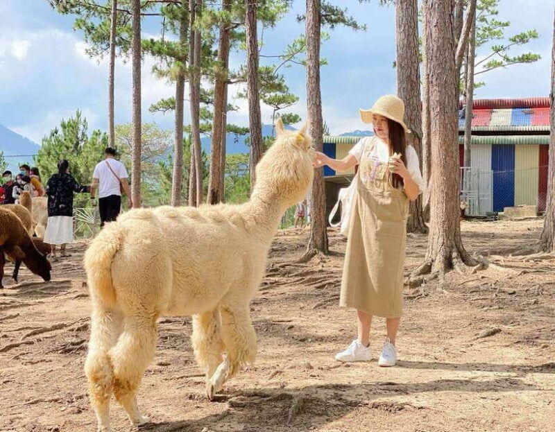 nha-trang-3-day-tour-with-4-star-hotel-and-meals