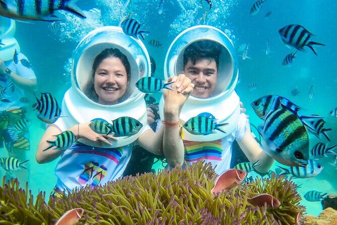 Nha Trang 3 Islands Paradise Explore - Key Points