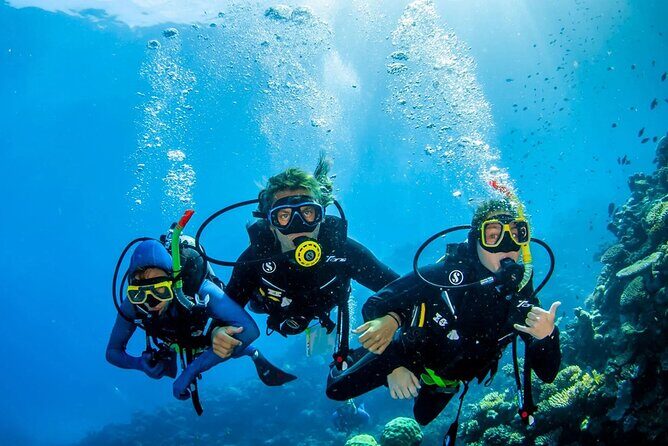 Nha Trang 3 Islands Paradise Explore - Frequently Asked Questions