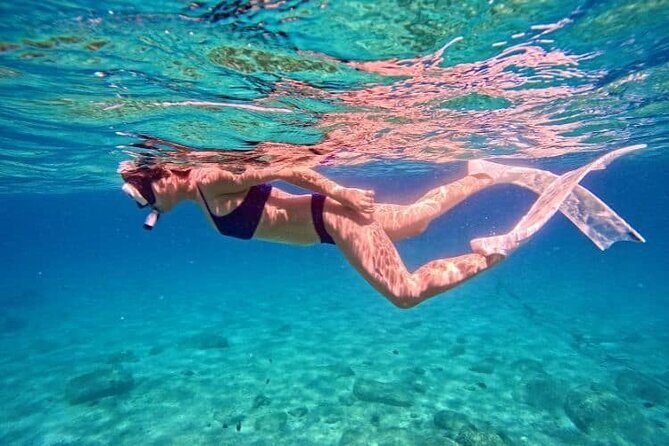 Nha Trang Bay: Private Half-Day Snorkeling Tour at Coral Reef - Key Points