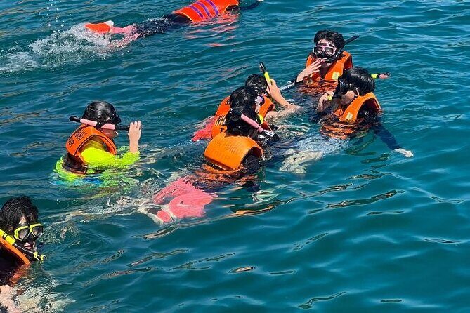 Nha Trang Bay: Private Half-Day Snorkeling Tour at Coral Reef - Transportation and Practical Details