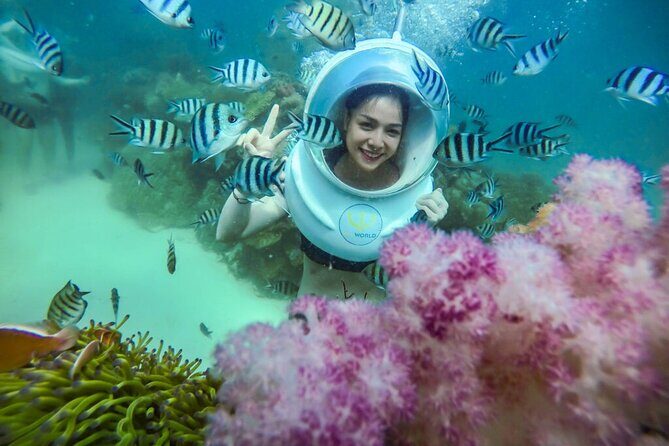Nha Trang Bay Underwater Walk and Vietnamese Seafood Delight - What You Can Expect on This Tour