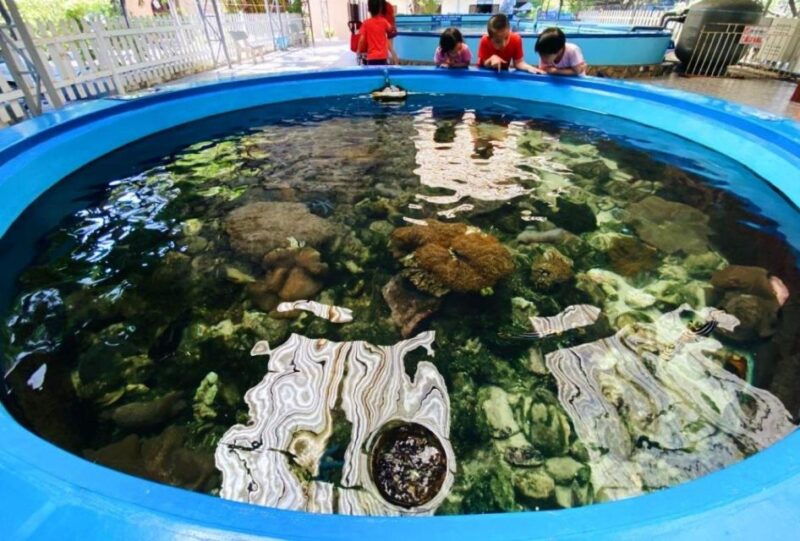 nha-trang-city-half-day-tour