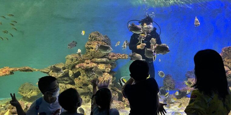 nha-trang-city-half-day-tour