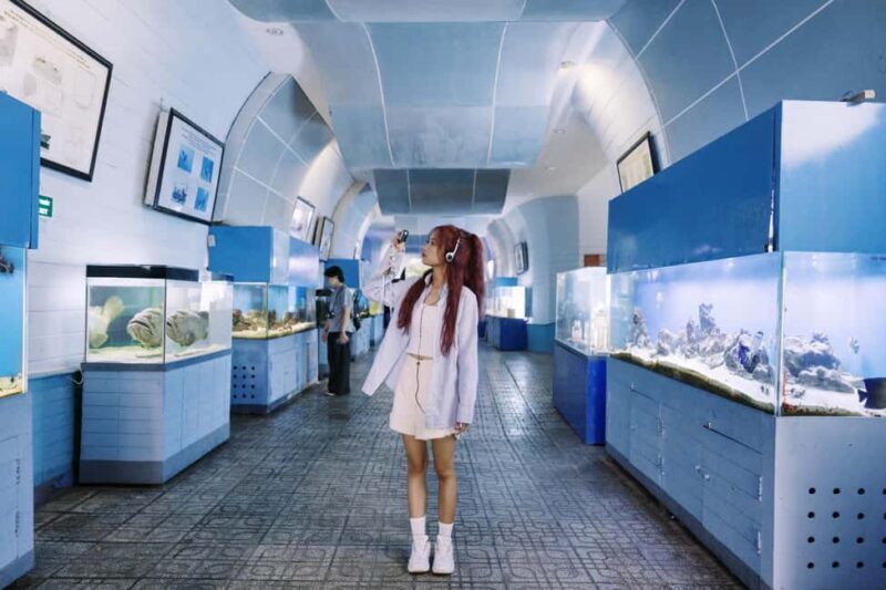 Nha Trang: City Highlights Tour with Local Guide - What to Expect from the Nha Trang Highlights Tour