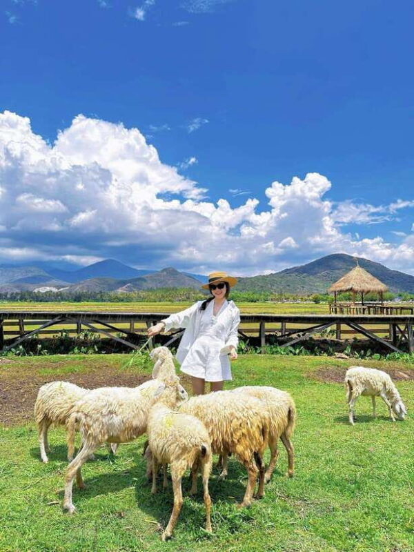 nha-trang-city-tour-hang-rai-coral-reef-ninh-thuan-vineyard