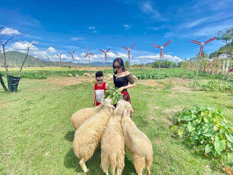 nha-trang-city-tour-hang-rai-coral-reef-ninh-thuan-vineyard