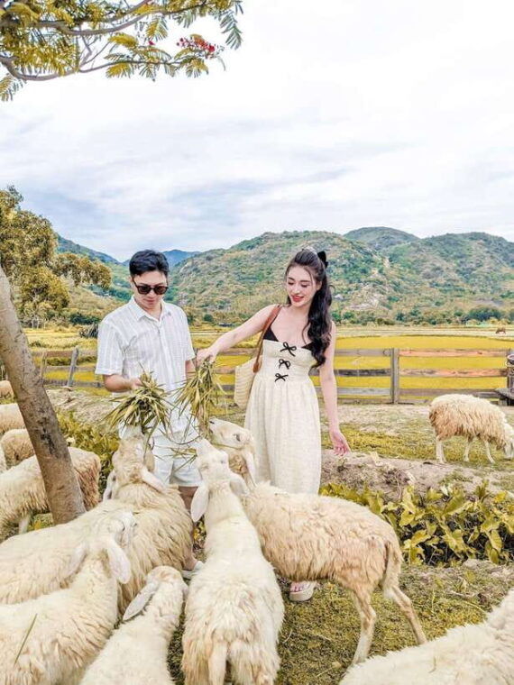 nha-trang-city-tour-hang-rai-coral-reef-ninh-thuan-vineyard
