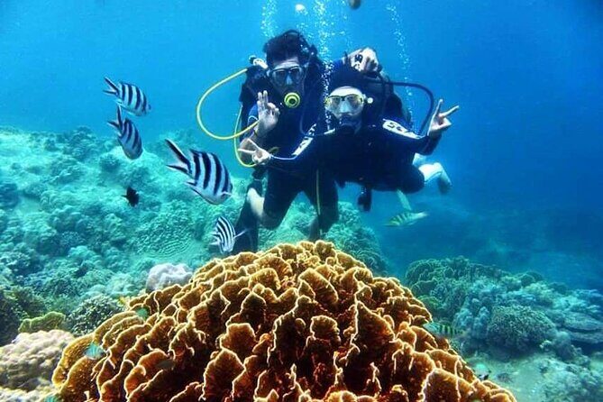 Nha Trang Coral Reefs Scuba Diving Experience with Lunch - Frequently Asked Questions