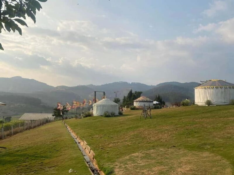 Nha Trang-Da Lat Day Trip: Explore Mongo & Donki Land - Introduction to the Da Lat Day Trip from Nha Trang