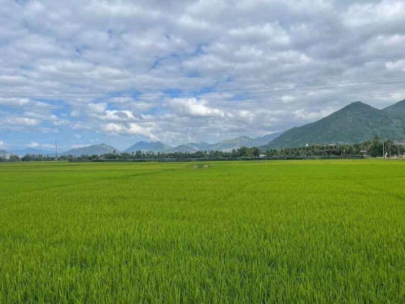 Nha Trang Day Tour: Ba Ho Waterfall, Cham Tower, Countryside - FAQ