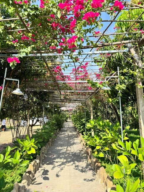 Nha Trang Day Tour: Suoi Mo Waterfall & Countryside - Exploring Nha Trang’s Hidden Corners