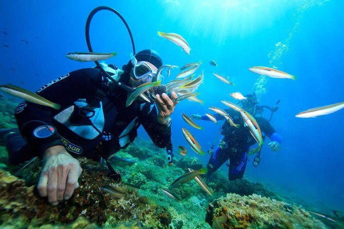 Nha Trang Diving Tour at Coral Bay - Key Points
