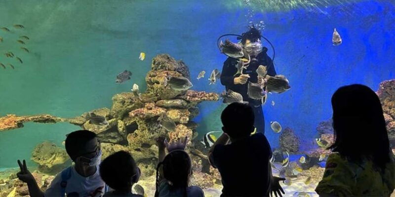 nha-trang-explore-nha-trang-city-in-a-half-day-tour