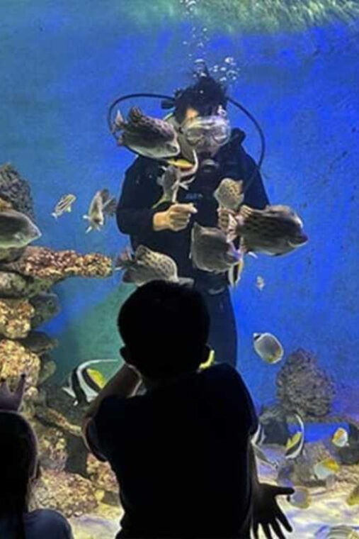 nha-trang-explore-nha-trang-city-in-a-half-day-tour